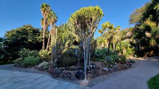 2024-01-GranCan-Jardin_de_la_Marquesa-067.jpg